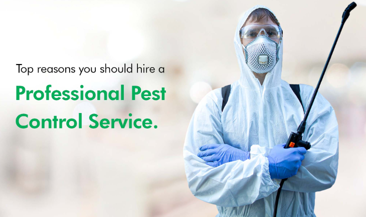 pest control company